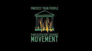 Participatory Defense: What It Is and Why It Deserves Our Attention