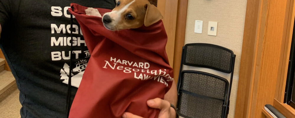 dog Man holding a small dog