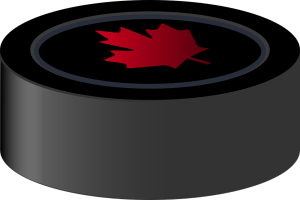 hockey puck